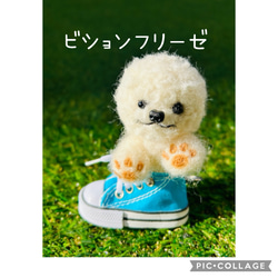 ミニスニーカー入り　わんちゃんたち！　キーチャームになってます 15枚目の画像