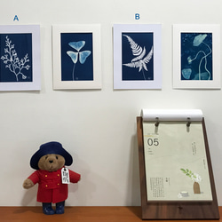 植物剪影。藍曬框畫 Botanic Cyanotype Framed Art Piece 第1張的照片