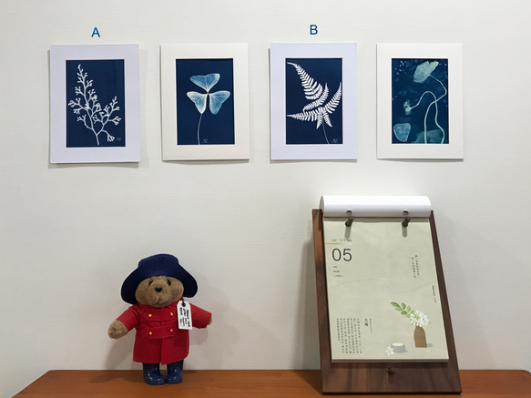 植物剪影。藍曬框畫 Botanic Cyanotype Framed Art Piece 第1張的照片