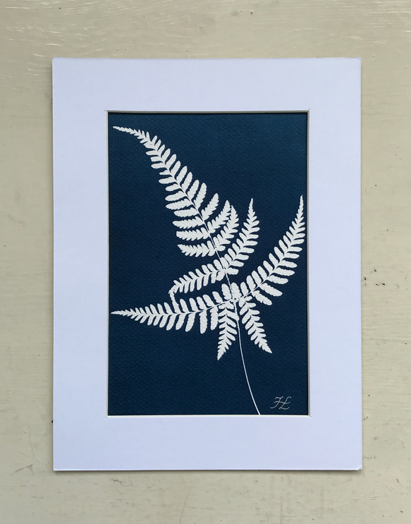 植物剪影。藍曬框畫 Botanic Cyanotype Framed Art Piece 第4張的照片