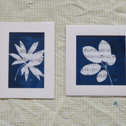 植物剪影。藍曬框畫 Botanic Cyanotype Framed Art Piece 第5張的照片