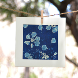植物剪影。藍曬框畫 Botanic Cyanotype Framed Art Piece 第9張的照片