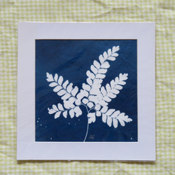 植物剪影。藍曬框畫 Botanic Cyanotype Framed Art Piece 第3張的照片