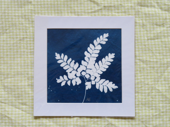 植物剪影。藍曬框畫 Botanic Cyanotype Framed Art Piece 第3張的照片