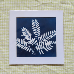 植物剪影。藍曬框畫 Botanic Cyanotype Framed Art Piece 第6張的照片