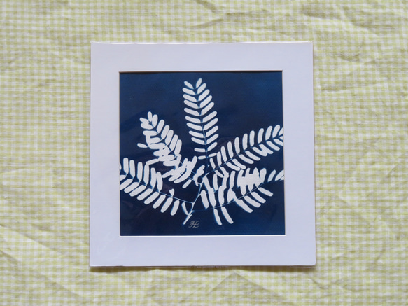 植物剪影。藍曬框畫 Botanic Cyanotype Framed Art Piece 第6張的照片