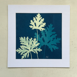 植物剪影。藍曬框畫 Botanic Cyanotype Framed Art Piece 第4張的照片
