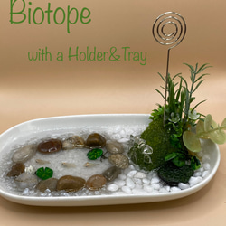 本物みたいな金魚鉢ーお水を入れて楽しむ その他インテリア雑貨 East