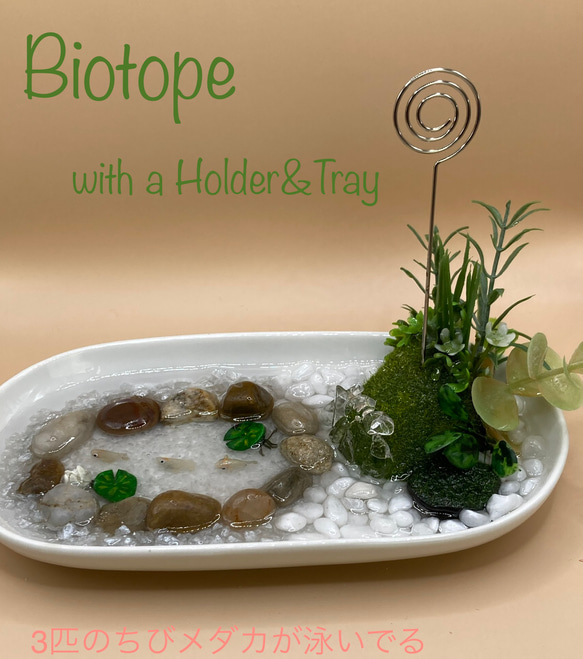 meril様 受注作品用　Biotope〜Tray〜水晶付き ストーンレスト トレイ 1枚目の画像