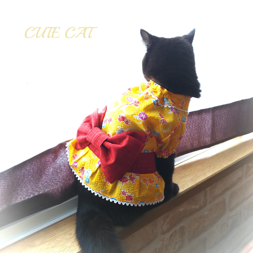 猫服浴衣風ワンピ2023＊金魚＆アサガオ ペット服・アクセサリー