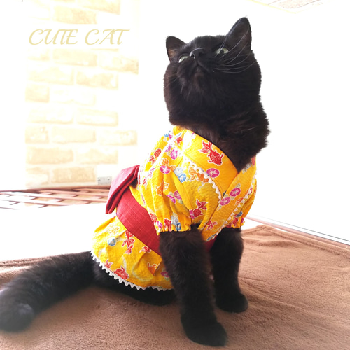浴衣♥️わんちゃん猫ちゃん用 pw2691_m01.jpg