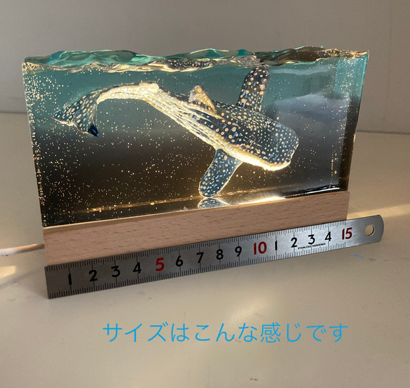 Whale shark's Paperweight ・ジンベイザメのペーパーウェイト 13枚目の画像