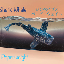 Whale shark's Paperweight ・ジンベイザメのペーパーウェイト 1枚目の画像