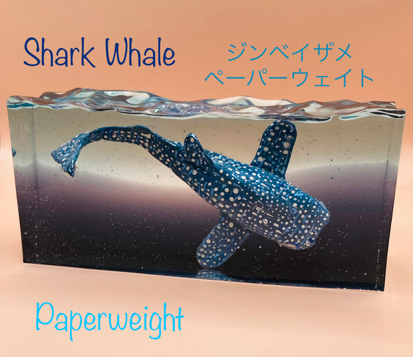 Whale shark's Paperweight ・ジンベイザメのペーパーウェイト 1枚目の画像