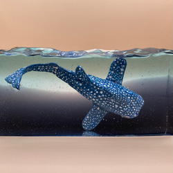 Whale shark's Paperweight ・ジンベイザメのペーパーウェイト 5枚目の画像