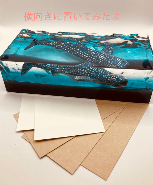 Whale shark's Paperweight ・ジンベイザメのペーパーウェイト 4枚目の画像