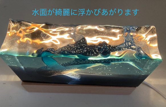 Whale shark's Paperweight ・ジンベイザメのペーパーウェイト 12枚目の画像