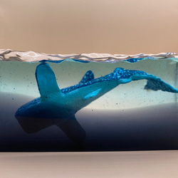 Whale shark's Paperweight ・ジンベイザメのペーパーウェイト 9枚目の画像