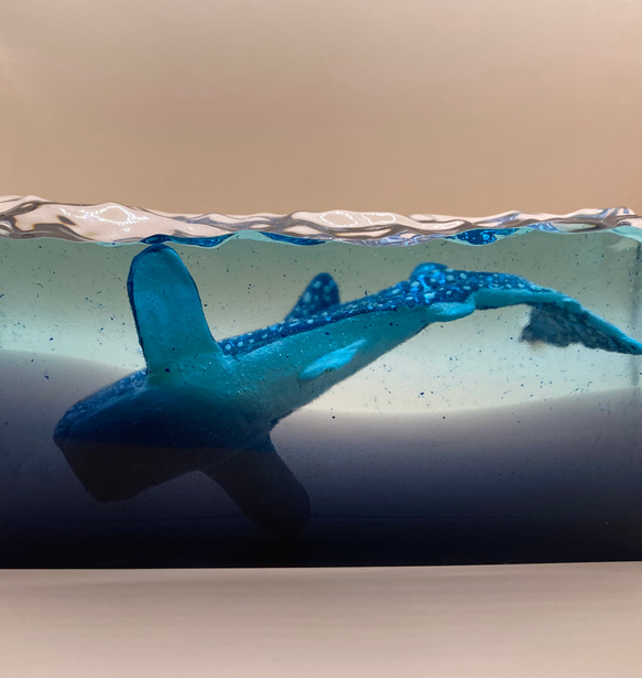 Whale shark's Paperweight ・ジンベイザメのペーパーウェイト 9枚目の画像