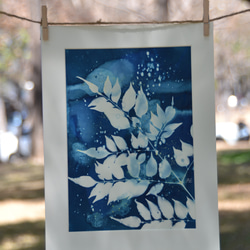 植物剪影。溼藍曬框畫 Botanic Wet Cyanotype Framed Art Piece 第2張的照片