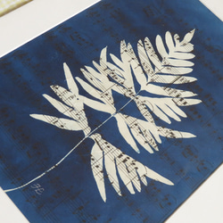 植物剪影。藍曬框畫 Botanic Cyanotype Framed Art Piece 第4張的照片