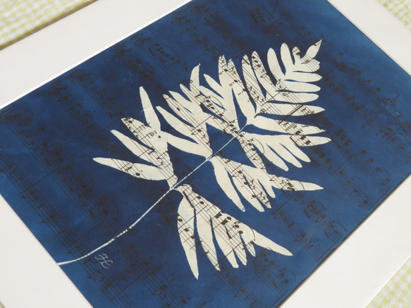 植物剪影。藍曬框畫 Botanic Cyanotype Framed Art Piece 第4張的照片