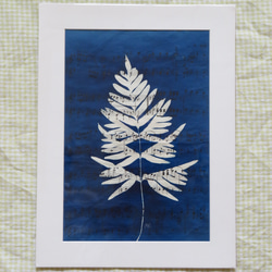 植物剪影。藍曬框畫 Botanic Cyanotype Framed Art Piece 第3張的照片