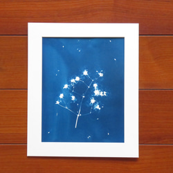 植物剪影。藍曬框畫 Botanic Cyanotype Framed Art Piece 第1張的照片