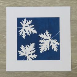 植物剪影。藍曬框畫 Botanic Cyanotype Framed Art Piece 第2張的照片