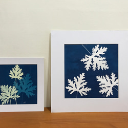 植物剪影。藍曬框畫 Botanic Cyanotype Framed Art Piece 第3張的照片