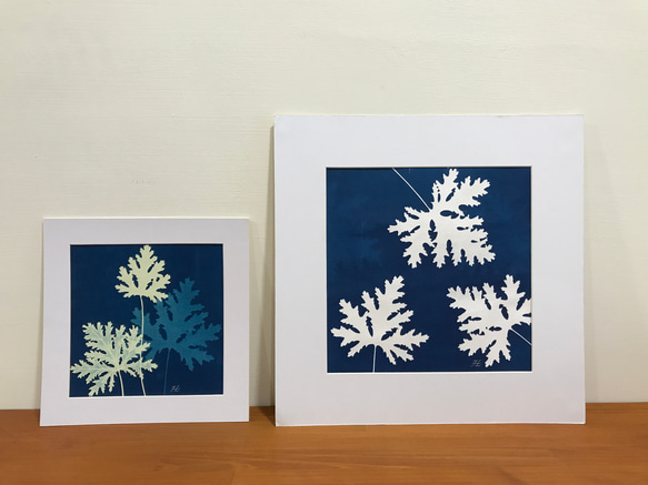 植物剪影。藍曬框畫 Botanic Cyanotype Framed Art Piece 第3張的照片