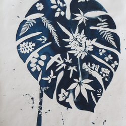 植物のシルエット。ボタニック シアノタイプ 額入りアートピース - モンステラ 3枚目の画像