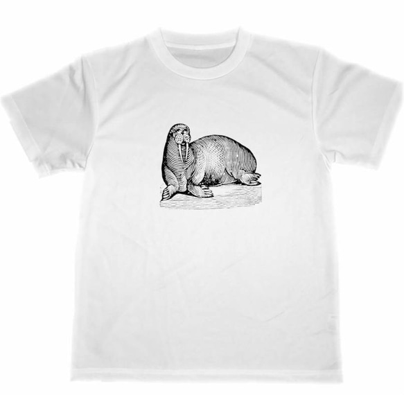 43982　ETRO　動物　Tシャツ アニマル カレッジロゴ Tシャツ トップス 子供服 ジュニア・(50