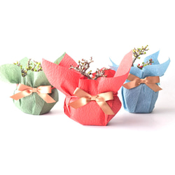 《父の日》赤花長寿梅　No.169 2枚目の画像