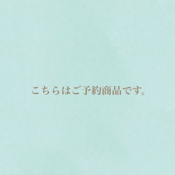 ご予約商品　オーダー☆海のリングピロー 1枚目の画像