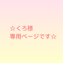 ☆くろ様専用ページです☆ 2枚目の画像