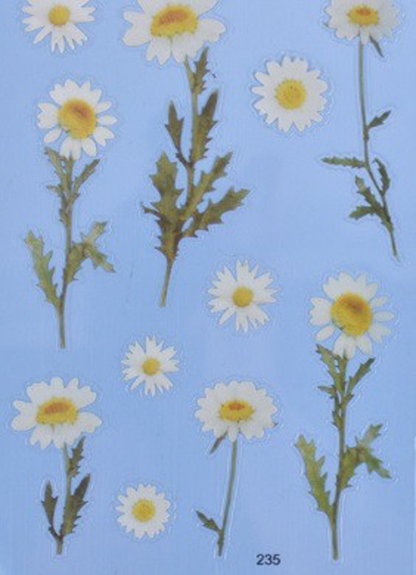 イラストシート　デザインシート　お花系・葉系シリーズ　素材　 1枚目の画像