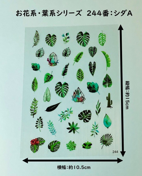 イラストシート　デザインシート　お花系・葉系シリーズ　素材　 12枚目の画像