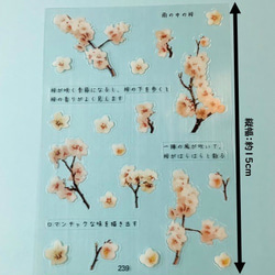 イラストシート　デザインシート　お花系・葉系シリーズ　素材　 6枚目の画像