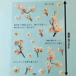 イラストシート　デザインシート　お花系・葉系シリーズ　素材　 6枚目の画像