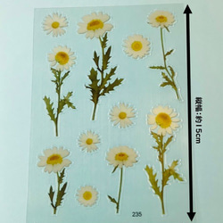 イラストシート　デザインシート　お花系・葉系シリーズ　素材　 2枚目の画像