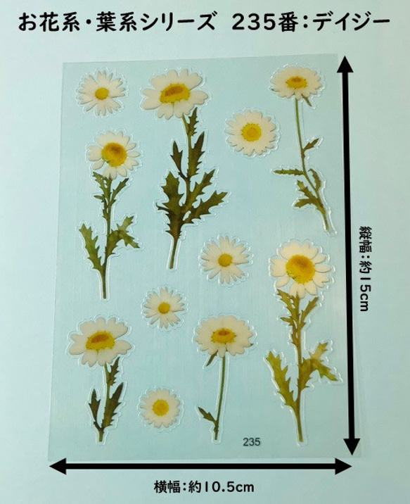 イラストシート　デザインシート　お花系・葉系シリーズ　素材　 2枚目の画像