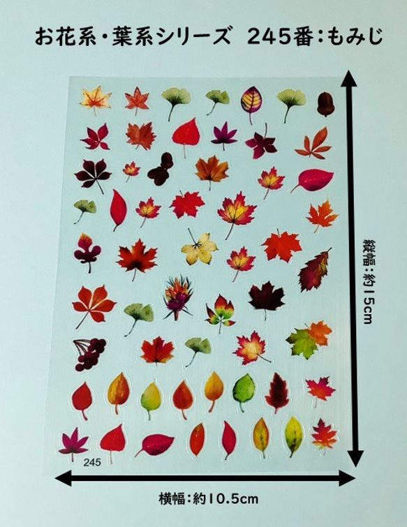 イラストシート　デザインシート　お花系・葉系シリーズ　素材　 14枚目の画像