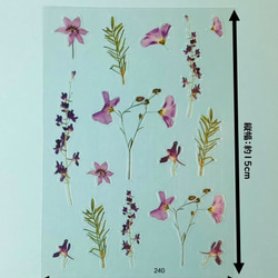 イラストシート　デザインシート　お花系・葉系シリーズ　素材　 8枚目の画像