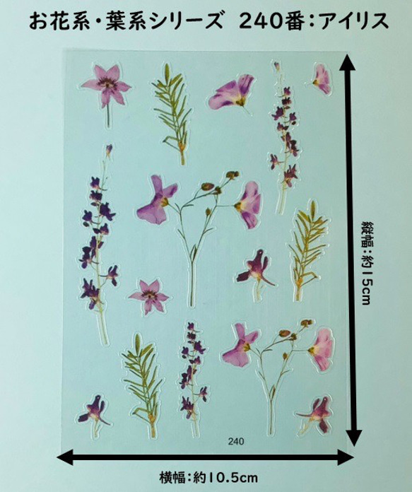 イラストシート　デザインシート　お花系・葉系シリーズ　素材　 8枚目の画像