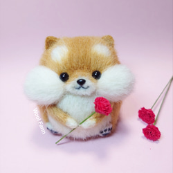 羊毛フェルト柴犬 拒否犬 散歩拒否犬 柴犬