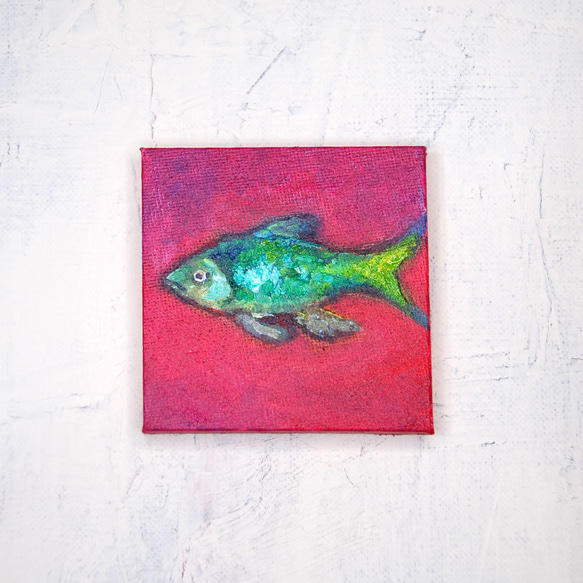 ビビットなお魚」キャンバス画 原画 ましかく ミニ絵画 絵画