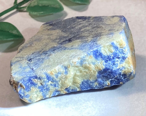 bbf8b69fbc8101d523a6d879908066