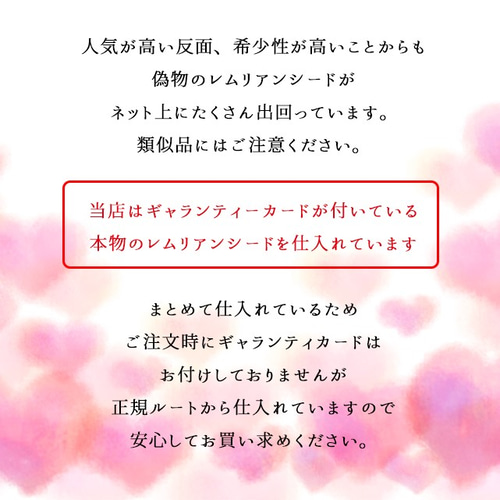 本物保証】【2個】希少石・レムリアンシードクリスタル 本物保証】【2個】希少石・レムリアンシードクリスタル