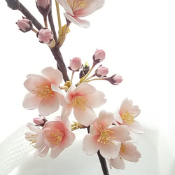 《訂製》❁陶土花櫻花樹一株，室內花，單瓶❁ 第5張的照片